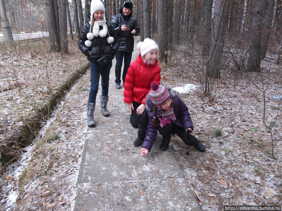 Новогодняя гирлянда. А ещё мы белочек в лесу кормили))) Красноярск, Россия