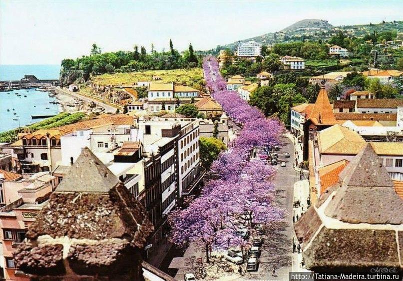 Старая Мадейра Регион Мадейра, Португалия