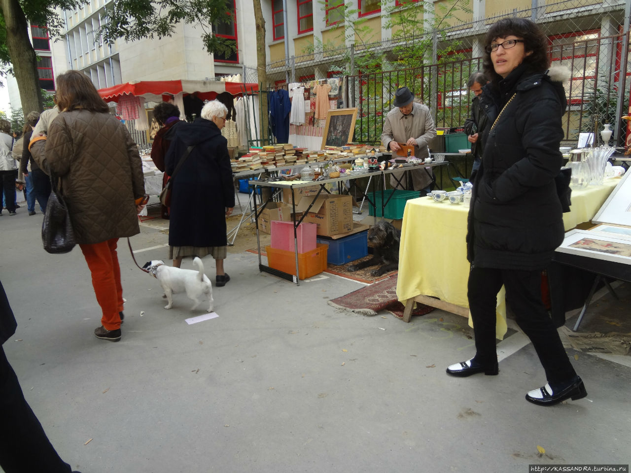 Собачья жизнь. Воо в Париже Париж, Франция