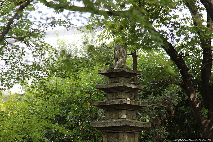 Храм Shokoku-дзи Киото, Япония