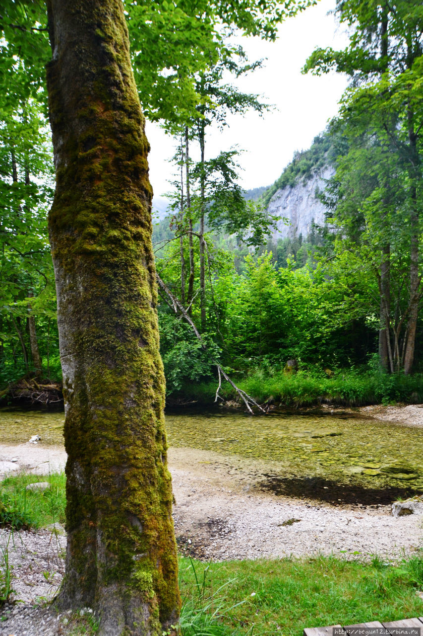 Пятьдесят оттенков зеленого Грундльзее, Австрия