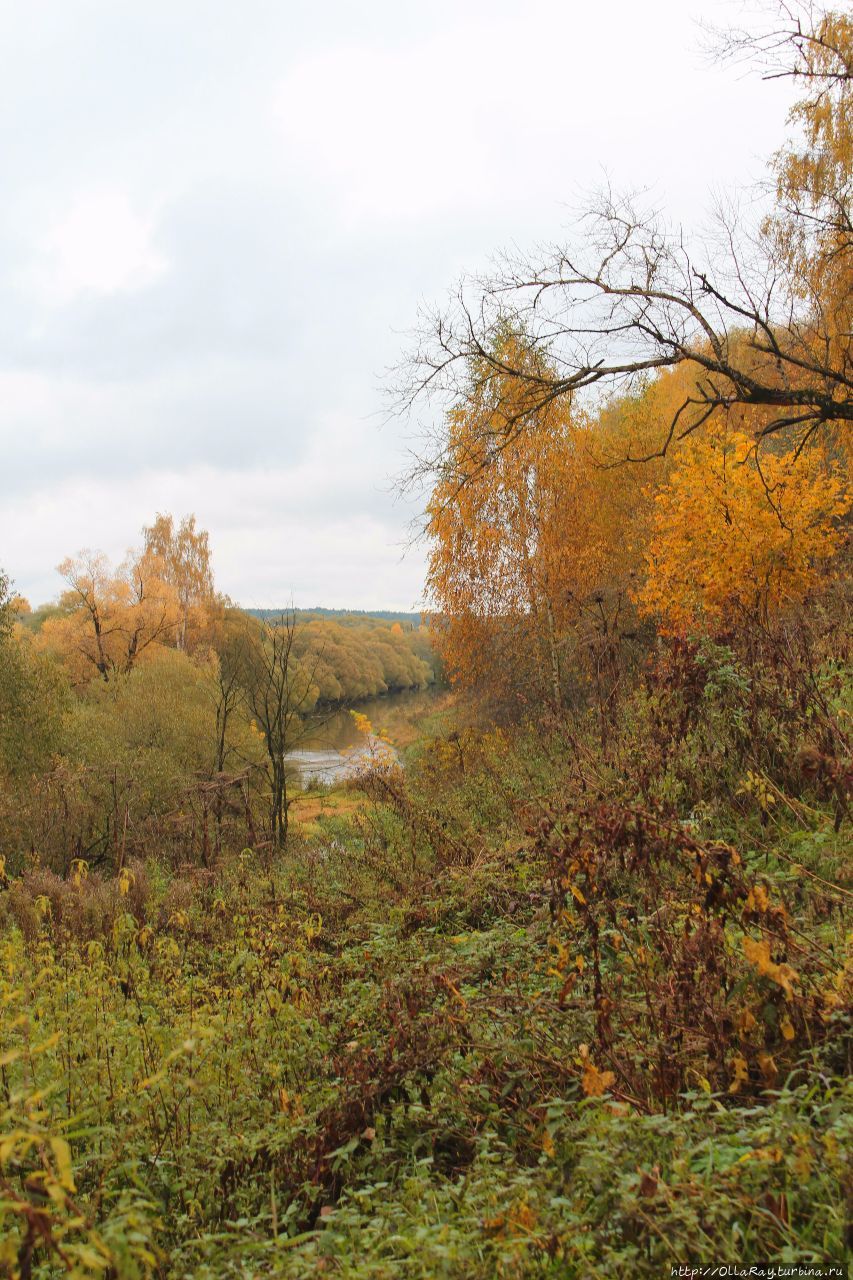 Вид с Селивановой горы на