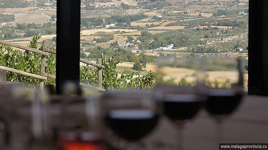 Вино и долина Ронды Ронда, Испания