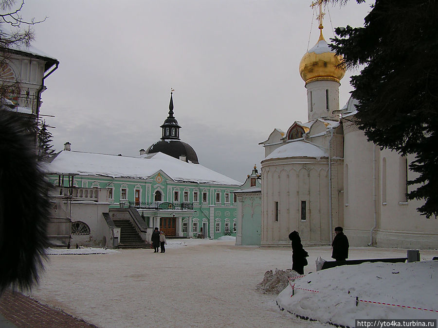 За салатовым зданием виднеется чёрный купол Водяной башни Сергиев Посад, Россия