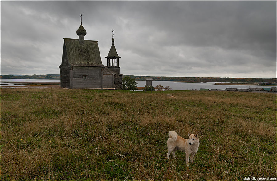 Россия. Кенозерье. Часть северная Вершинино, Россия