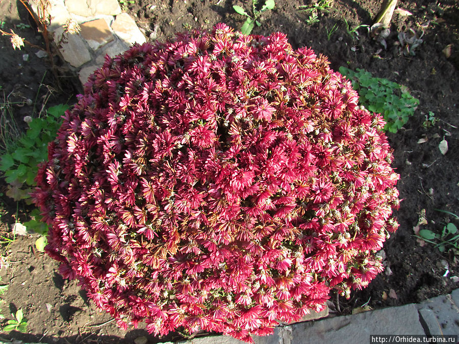 Теплое настроение Харьковская область, Украина