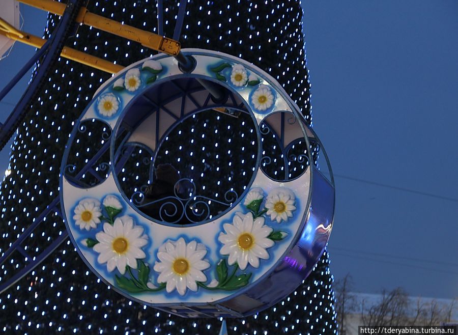 Ромашки среди зимы