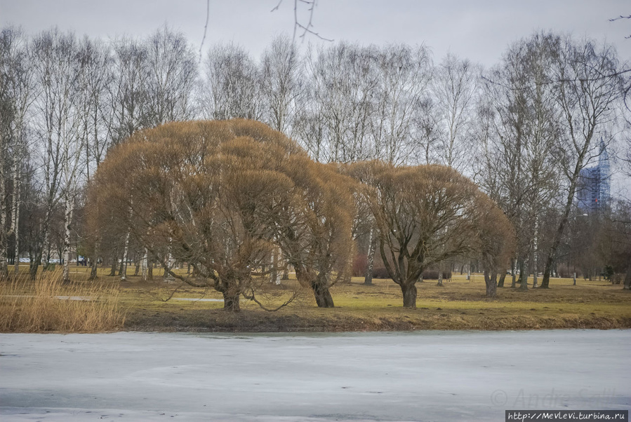 В марте в парке Аркадия Рига, Латвия