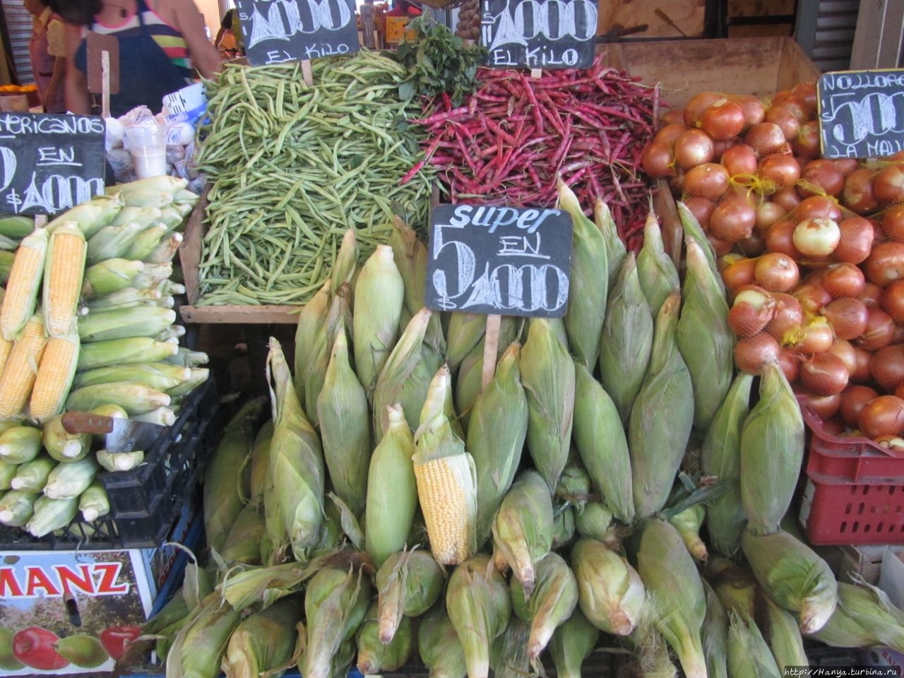 Рынок Ла Вега Сантьяго, Чили
