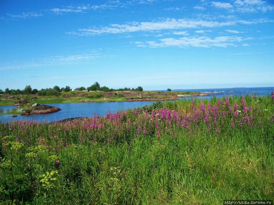 берег Белого моря Кемь, Россия