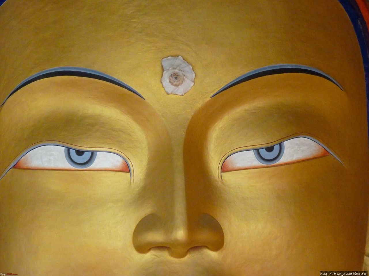 Из интернета