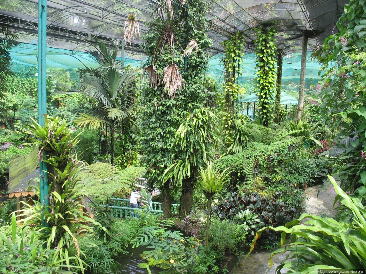 Парк бабочек Куала-Лумпур, Малайзия