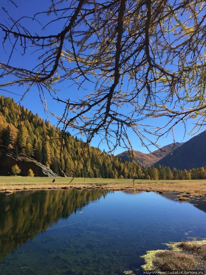 Национальный парк-''Parco Nazionale dello Stelvio'' Стельвио Национальный Парк, Италия