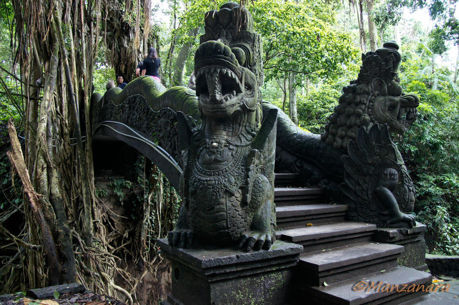 Индонезия. Бали: Снова в Убуде. Обезьяний лес Убуд, Индонезия
