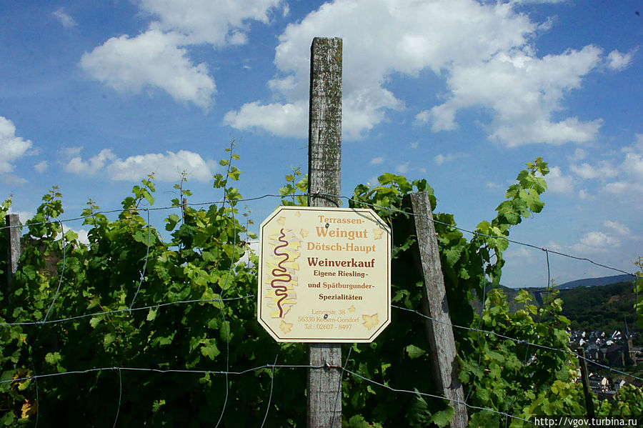 Прогулка по горкам среди виноградников Коберн-Гондорф, Германия