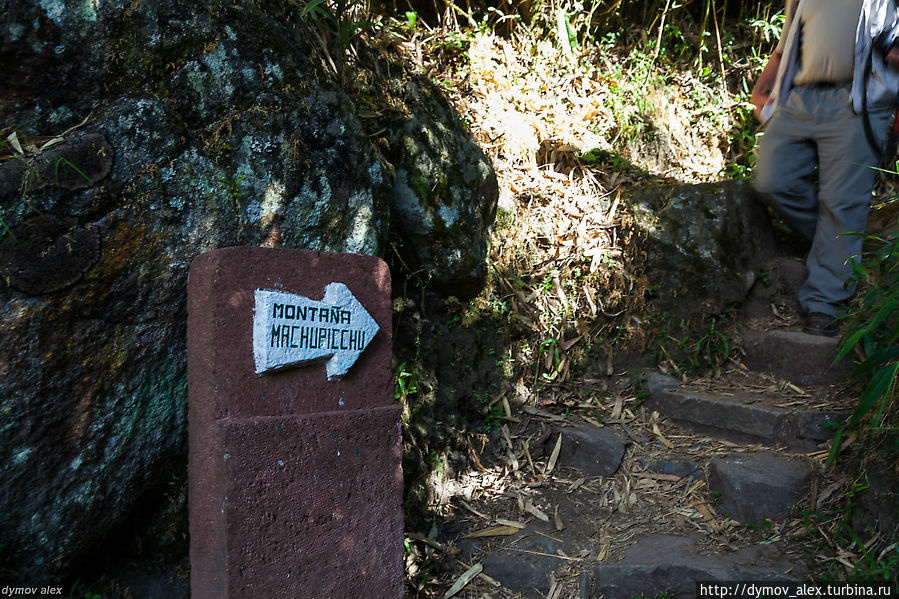 Потратив, примерно, полчаса на осмотр этого моста, все-таки, нашли тропу на гору Мачу-Пикчу. Есть еще гора Уайну-Пикчу, но, во-первых, она высотой всего на 300 метров выше города, а, во-вторых, нам уже впарили билеты на другую гору. Высота горы Мачу-Пикчу на 400 метров выше Уайну и путь туда занимает примерно 1200 метров Мачу-Пикчу, Перу