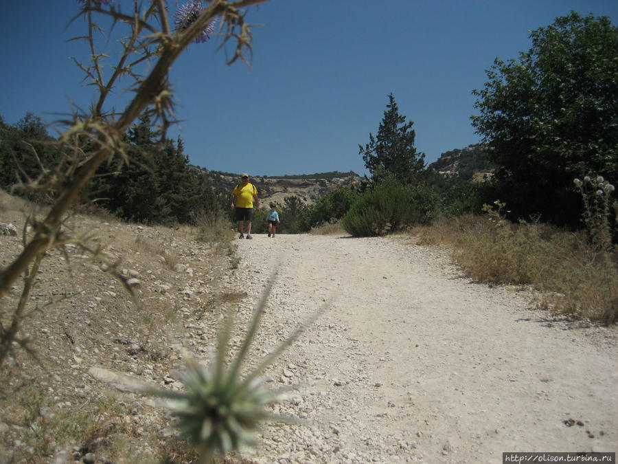 жаркая дорога к ущелью Акамас полуостров Национальный Парк, Кипр