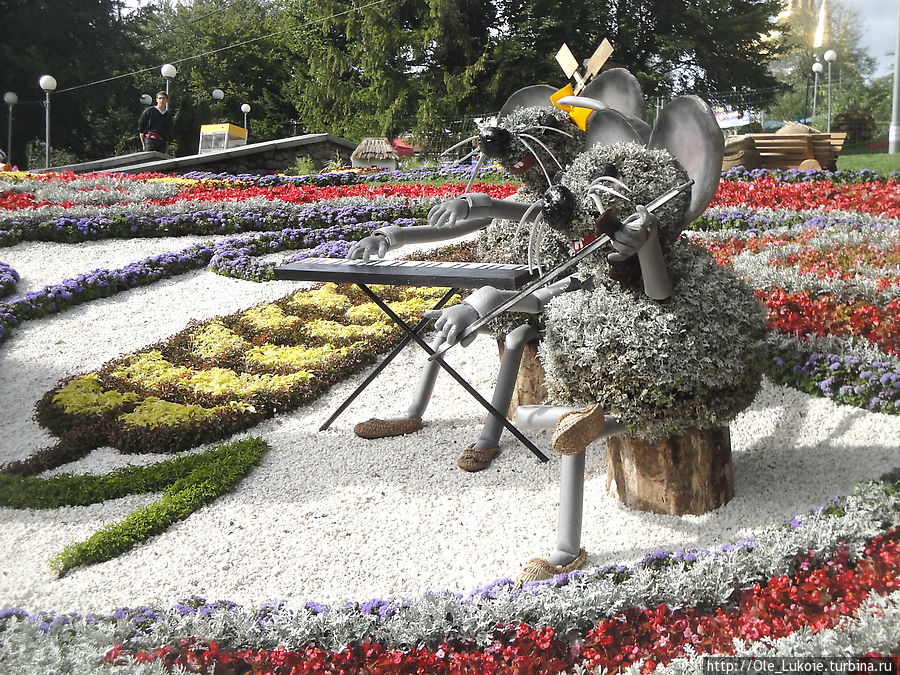 Выставка цветов-2012  — красиво, ярко, многолюдно Киев, Украина