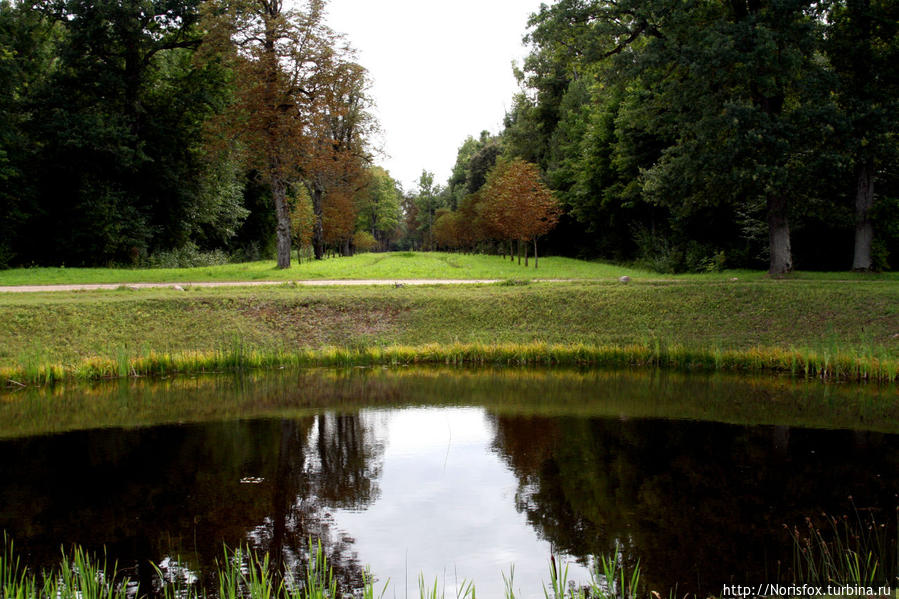 Земляк, ты сам откуда будешь? Рундале, Латвия