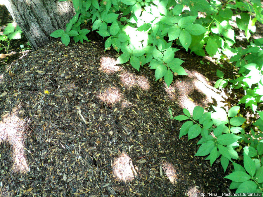 Последний день весны Оренбургская область, Россия