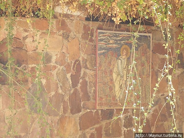 Куст растет всего в нескольких метрах от часовни. Он был пересажен для того, чтобы можно было построить святой алтарь над его корнями. Это единственный куст такого рода на всем Синйском полуострове. Ни одна попытка пересадить его в другое место не увенчалась успехом.