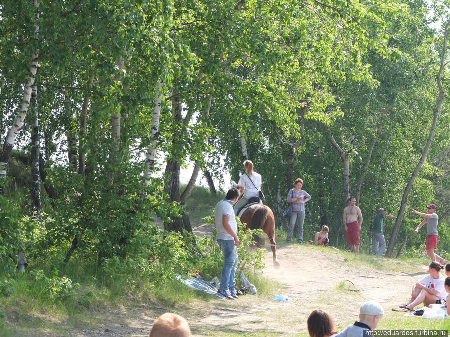 Фестиваль «Зелёный» 2014 Красноярск, Россия