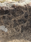 Изображение горных козлов 
VI-X вв. 

На камне изображены горные козлы. Среди всех рисунков выделяется фигура козла в верхней части. Его ноги изображены полностью, морда и хвост детализированы. Часть рисунка подновлена.