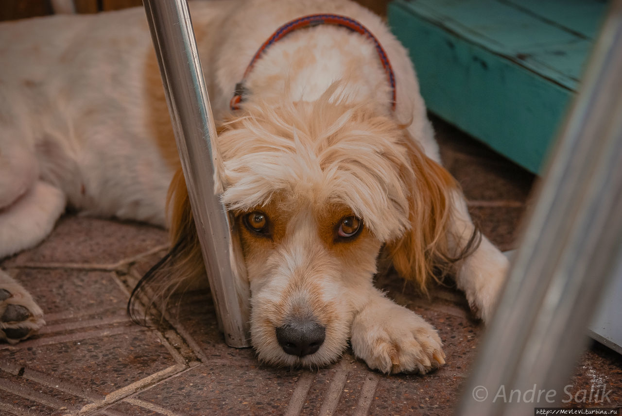 Тарифа, центр города Тарифа, Испания