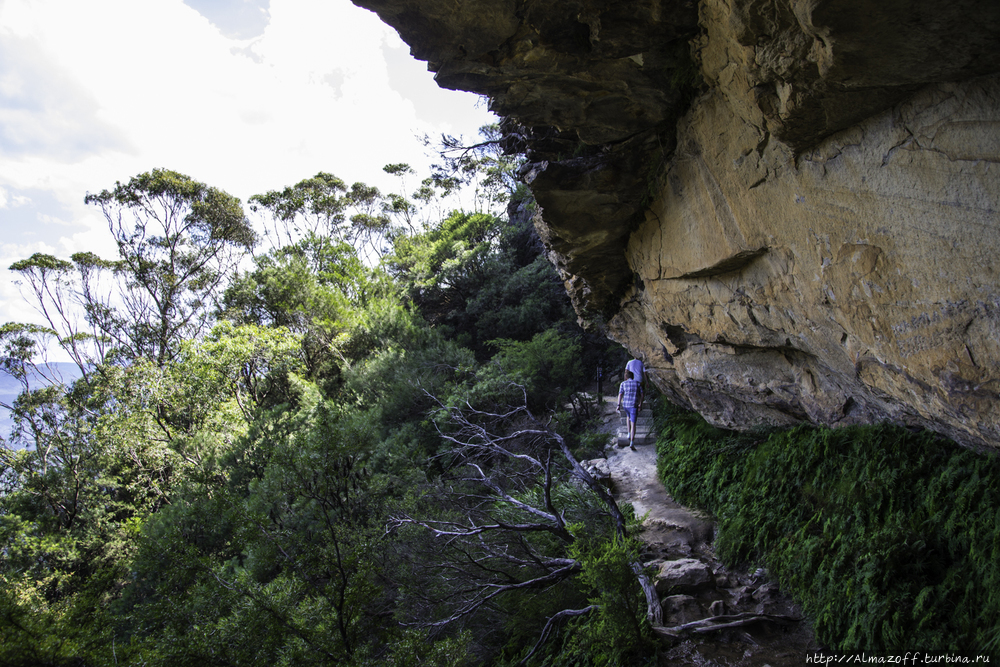 Голубые Горы штата Новый Южный Уэльс Блу-Маунтинс Национальный Парк, Австралия