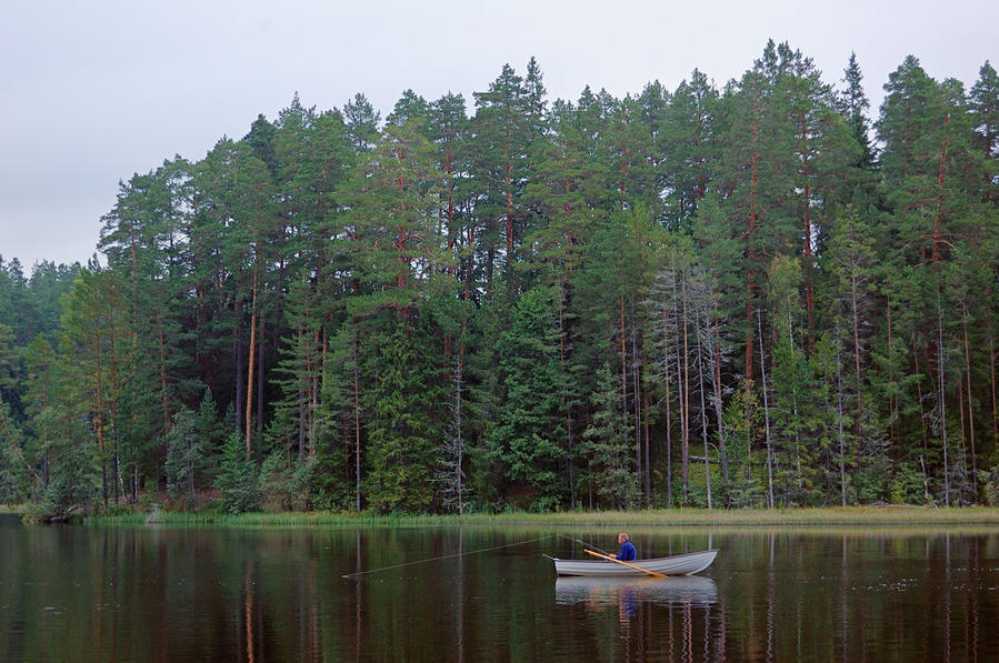 Круиз по реке Ахья Уезд Пылвамаа, Эстония