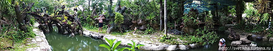 Остров страусов Вьетнам
