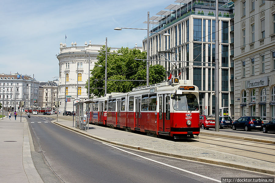 Трамвай — основной вид общественного транспорта в Вене Вена, Австрия