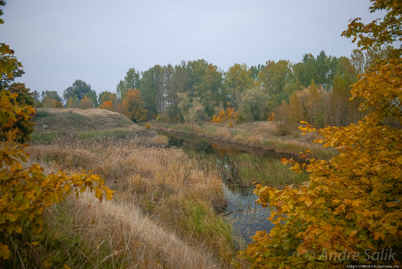 Красивая осень!!! Рига, Латвия