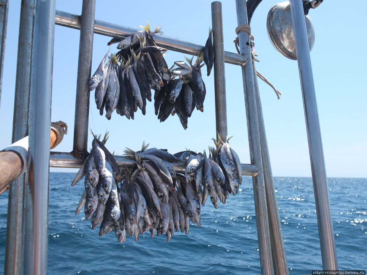 Морская рыбалка в Алуште Алушта, Россия