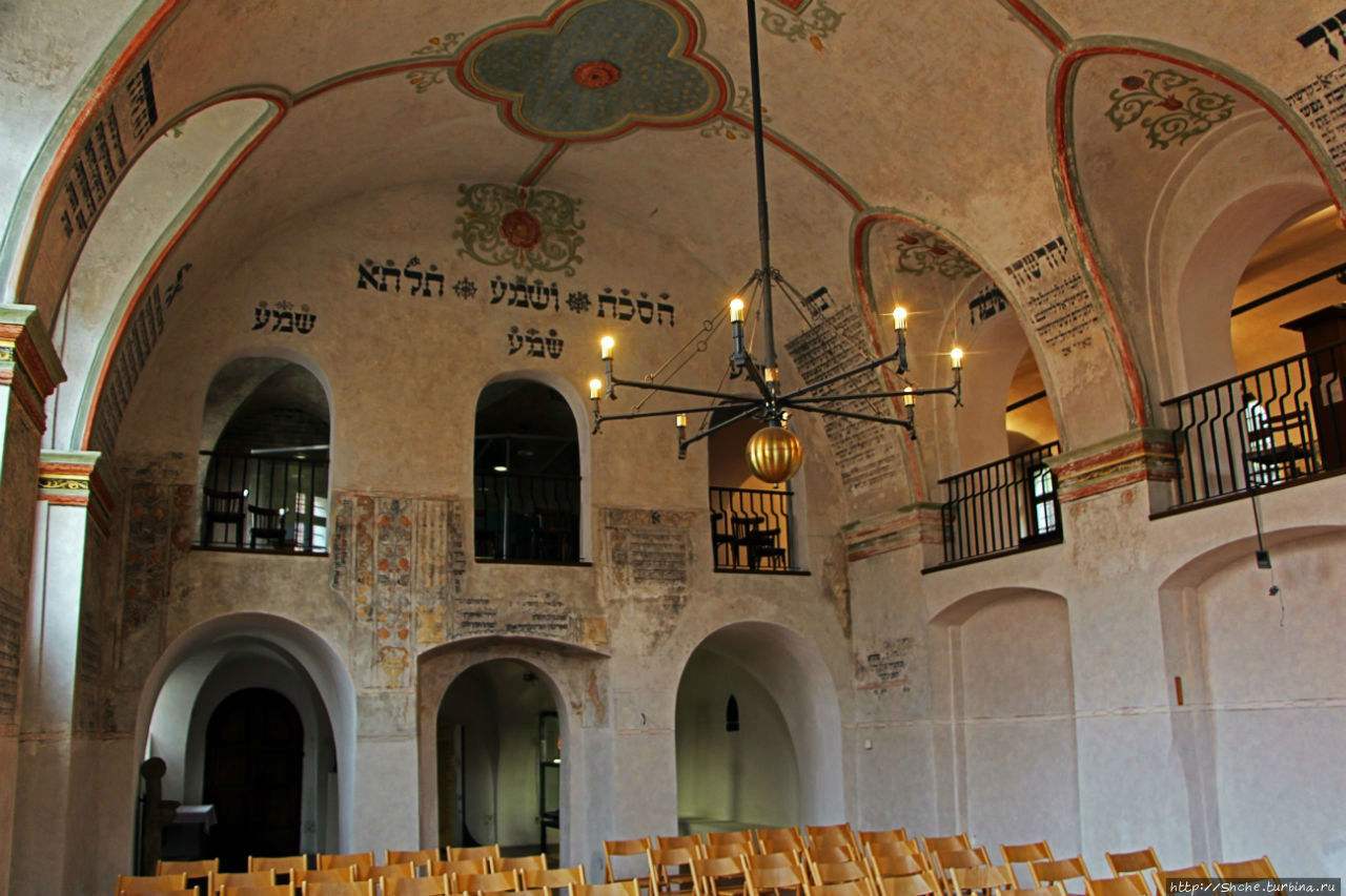 Задняя синагога / Zadní Synagoga