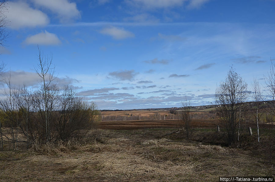 Грачи прилетели Костромская область, Россия