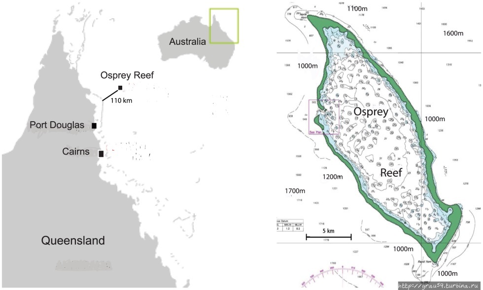 (Из Интернета) Риф Оспри, Территория островов Кораллового моря