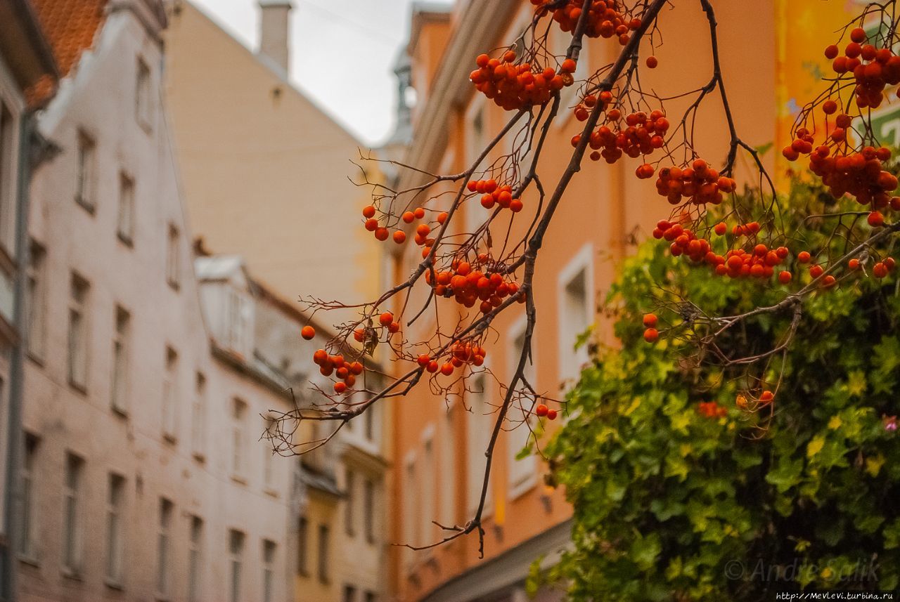 Перед Рождеством в Риге Рига, Латвия