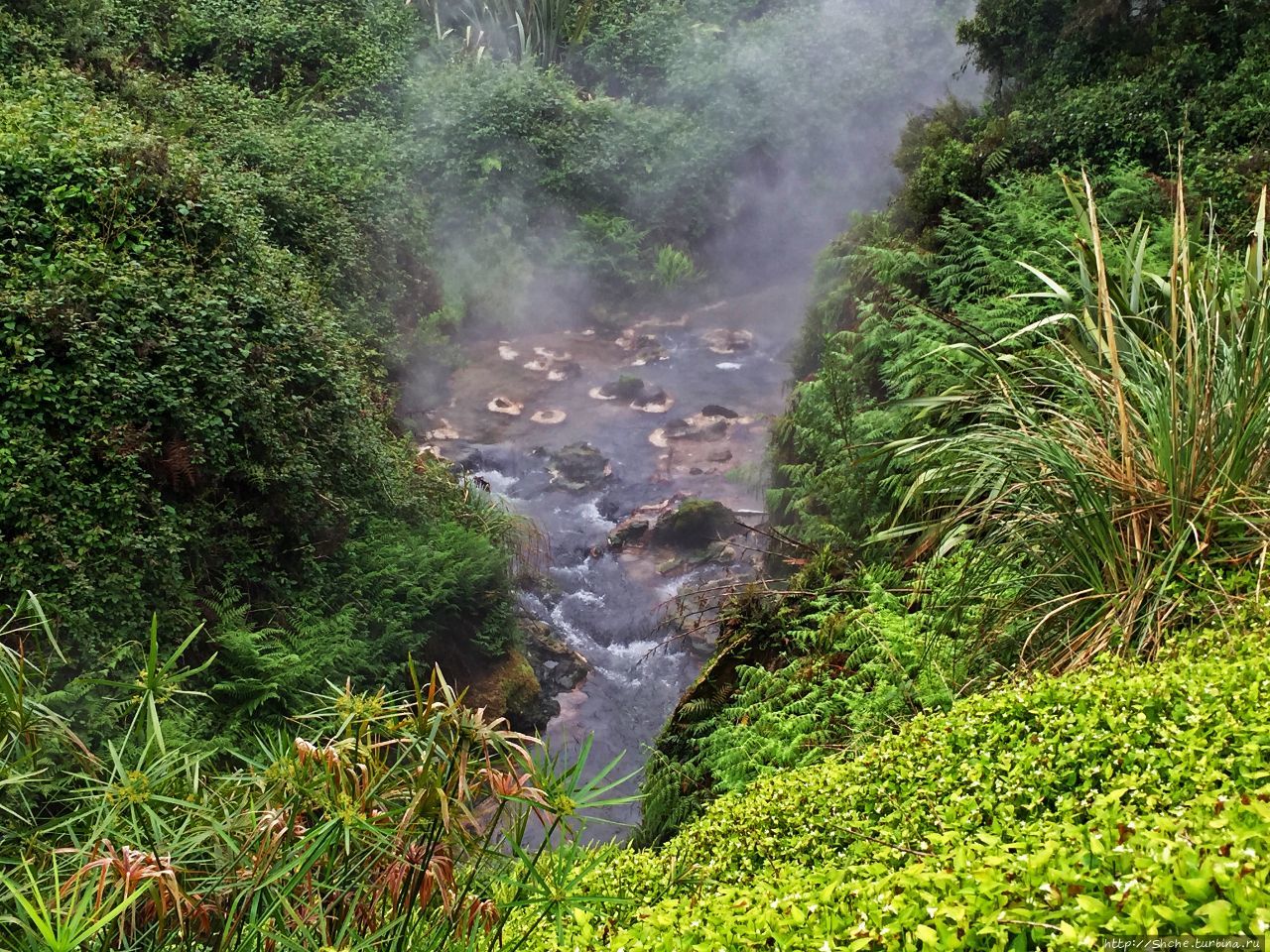 река Отамакокор Уайките-Вэлли, Новая Зеландия