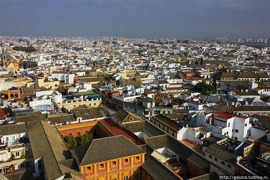 Собор (Catedral) Севилья, Испания