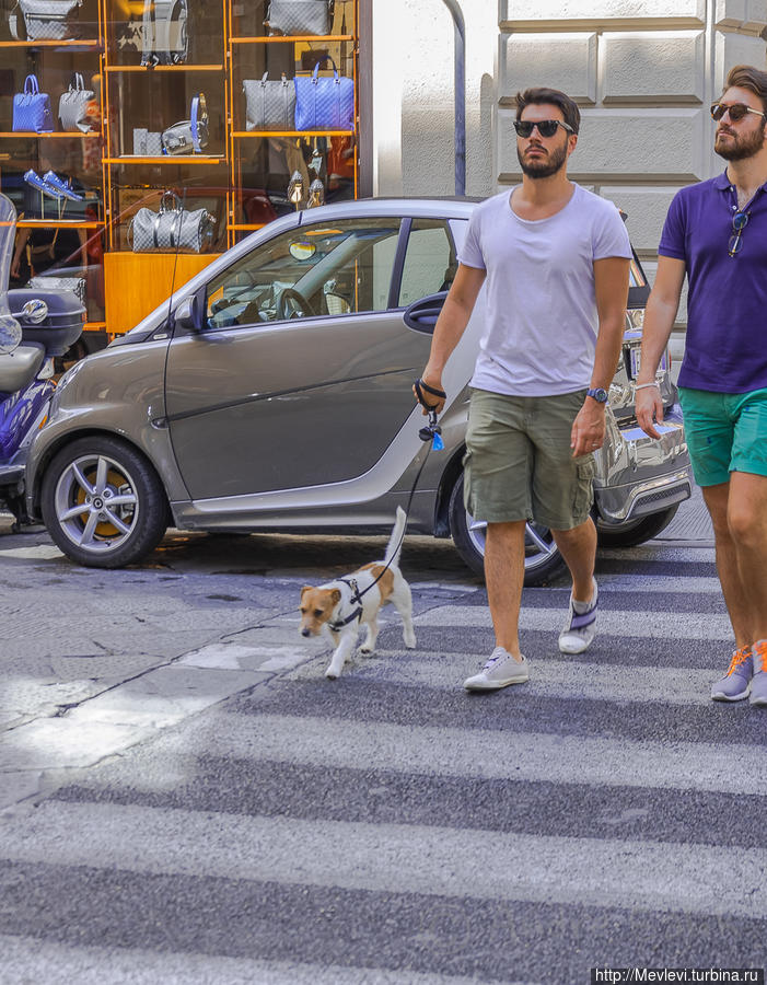 Утро Флоренции Флоренция, Италия