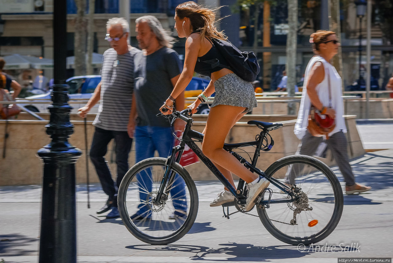 Август в Барселоне Барселона, Испания