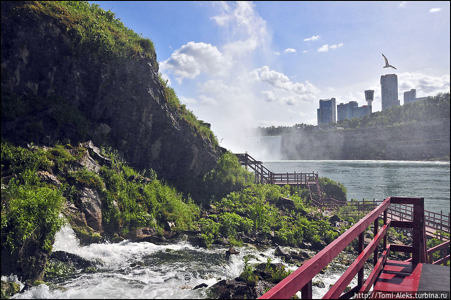 Вот здесь уже видно канадский берег с гостиницами, причем со стороны Канады дома расположены как будто совсем у водопада. А с американской стороны к водопаду примыкает парк...
* Ниагара-Фоллз, CША