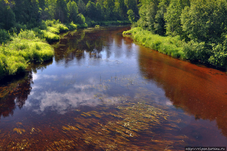 Тиманова Гора Вологодская область, Россия