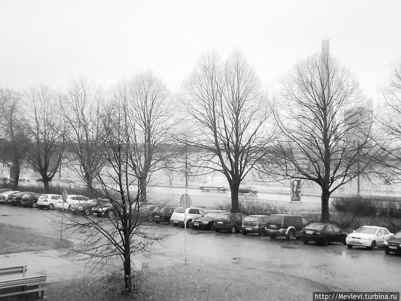 Осень ещё цепляется за жизнь. Только редкие деревья стоят абсолютно обнажённые.