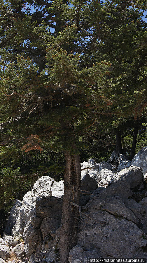 В Национальном заповеднике