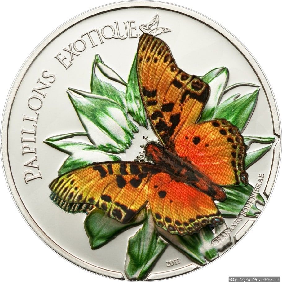 3D-монеты. Экзотические бабочки