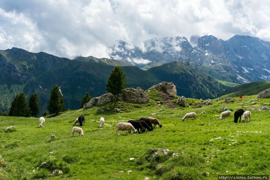 Доломитовые Альпы летом. День 4 Валь-ди-Фасса, Италия