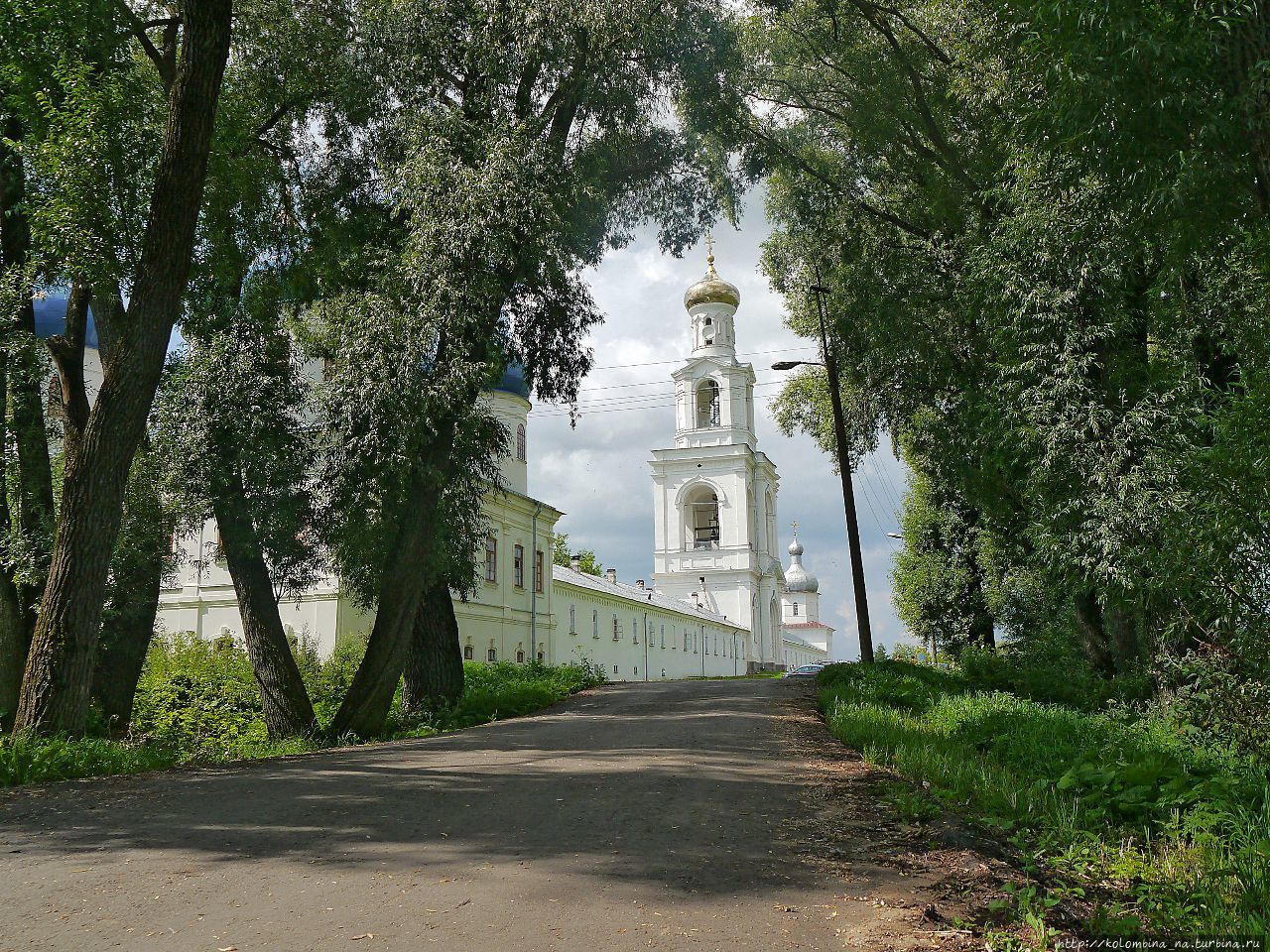 В обрамлении гигантских ив Великий Новгород, Россия