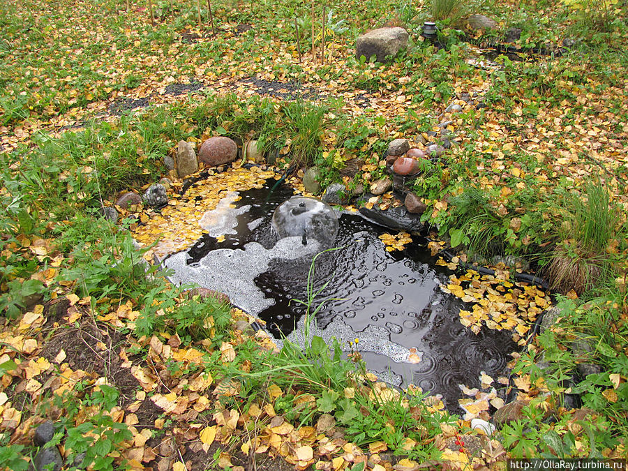 Отдохновение для души, а для глаз — радость... Интерпосёлок, Россия